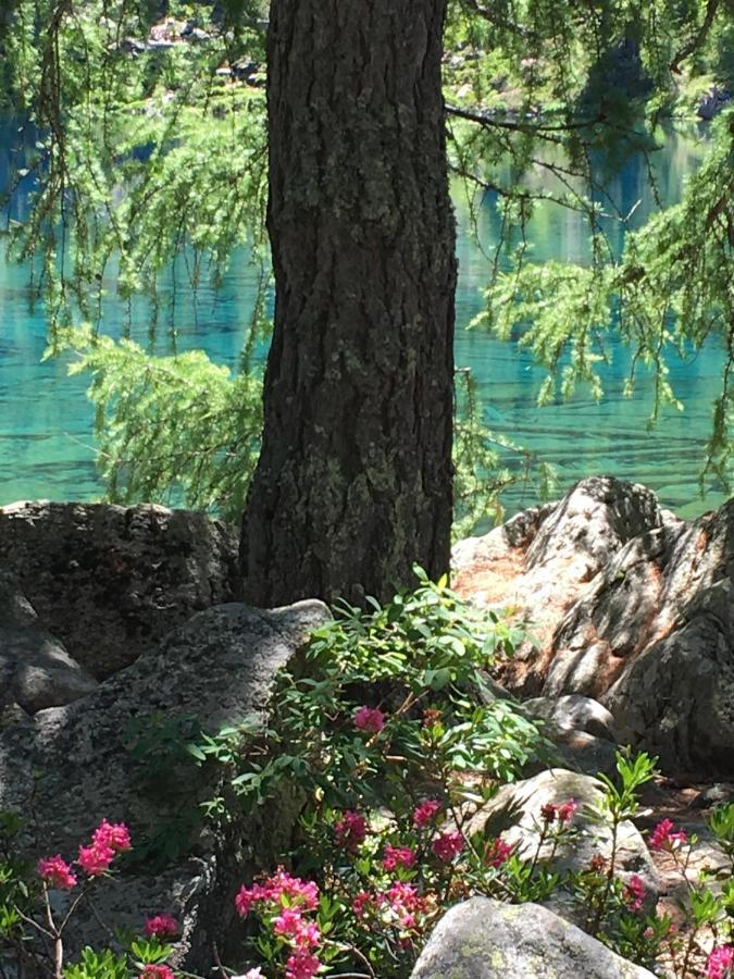 Chasa Sassalbo Bed and Breakfast Poschiavo Buitenkant foto